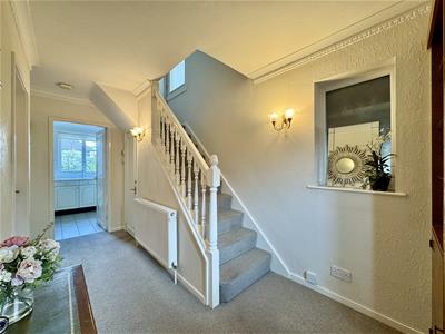 Picture 7
